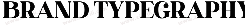 BRAND TYPEGRAPHY字体转换